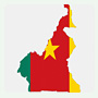 cameroon flag